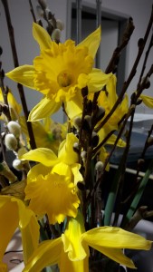 20160310_191337